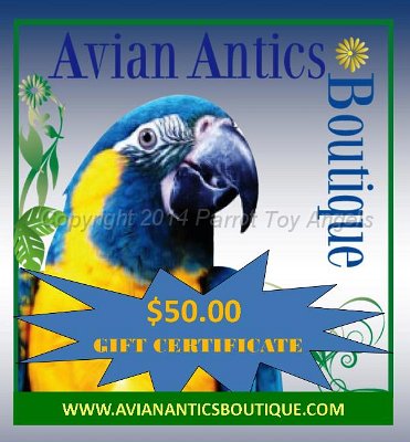 PTA SPRING 2014.jpg - Avian Antics Boutique $50 Gift Certificate - 2 available